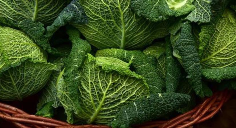 A trükk, amitől a kelkáposzta szuperétellé válik