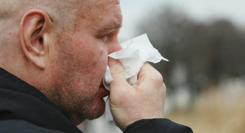 Feltűnt egy új influenzavariáns, brutális télre figyelmeztetnek a tudósok
