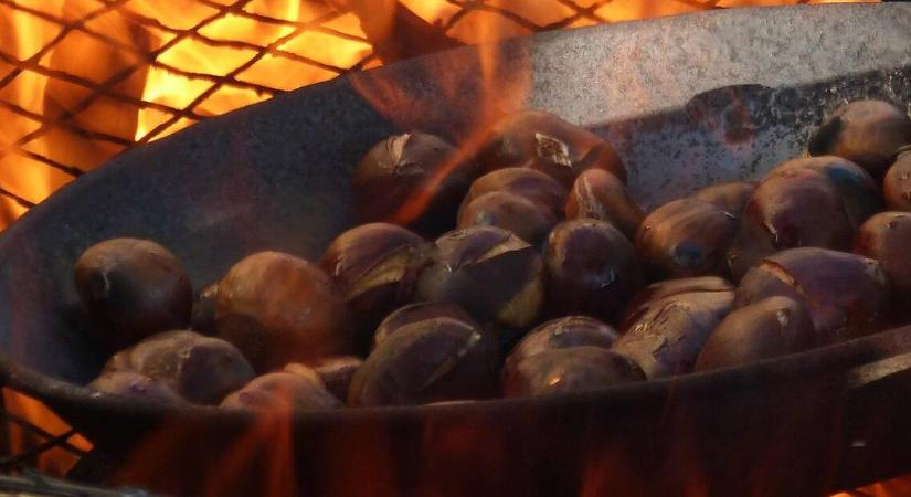 Vége a szenvedésnek: a trükk, amitől a gesztenye magát pucolja meg