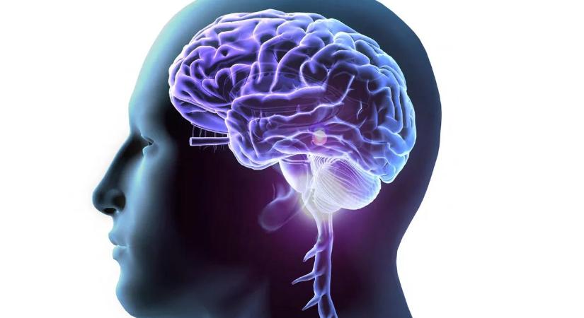 Hihetetlen, de igaz: chipet fognak az agyunkba fecskendezni