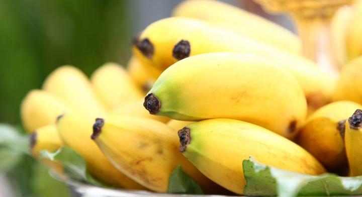 Így használd a banánhéjat, hogy megmentsd vele a növényeidet