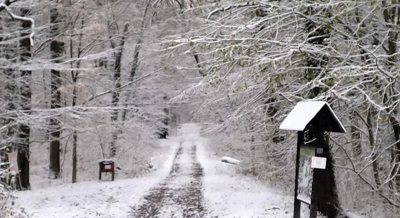 Ki épít ma hóembert? Ma még megtehetik, de hétfőn változik az idő (galéria, videó)