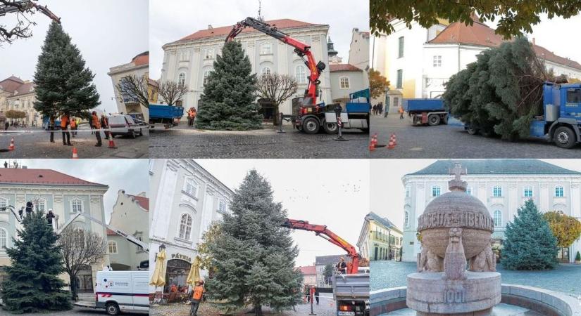 Íme, így néztek ki az elmúlt évek fehérvári karácsonyfái (videó)