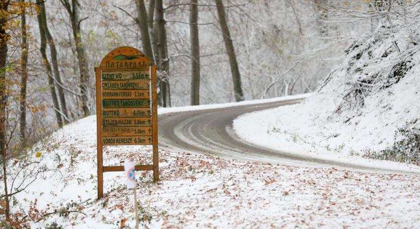 Nehezen járhatóak a Kőszegi-hegység útjai