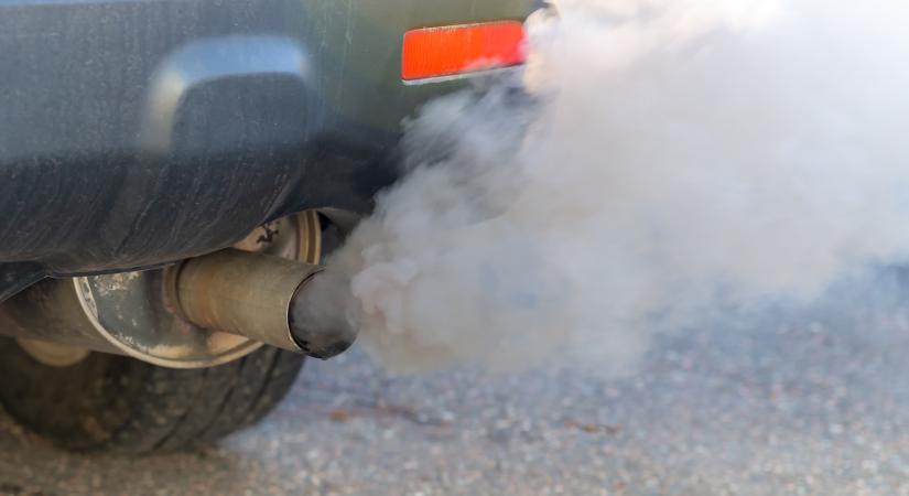 Új, szén-monoxid-lebontásra képes baktériumfajt azonosítottak magyar kutatók