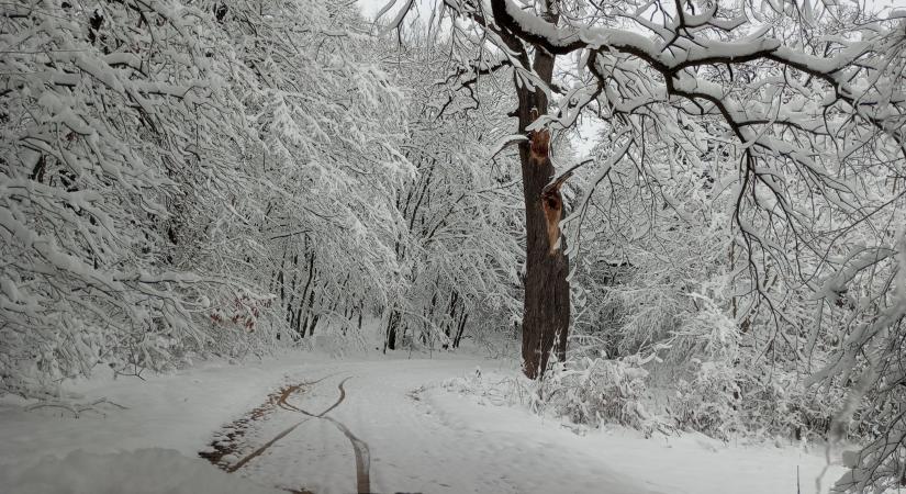 Bakonyszentlászlótól Marcalvárosig: olvasóink fotói az ide első hóról!