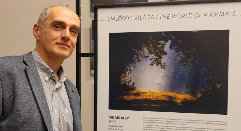 Az Év Természetfotósa Tata új büszkesége, mutatjuk a nyertes képet