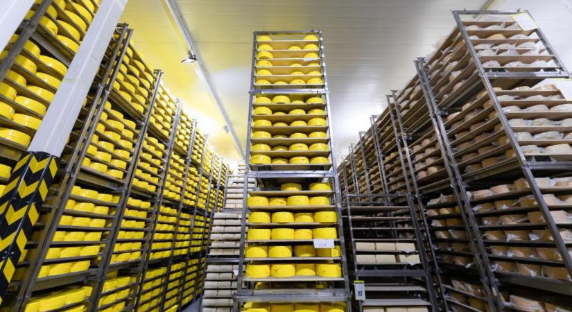 Támogatás épületekre, gépekre, technológiára – most érdemes pályázni