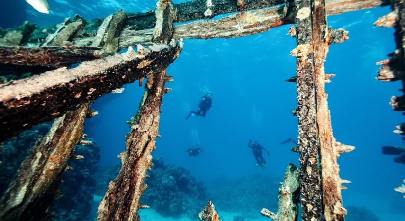 Hihetetlen, de teljes épségben találtak meg egy 19. századi hajóroncsot