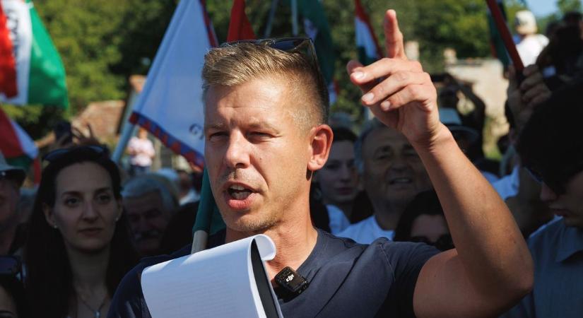 Ilyen a Tisza Párt kamu előválasztása