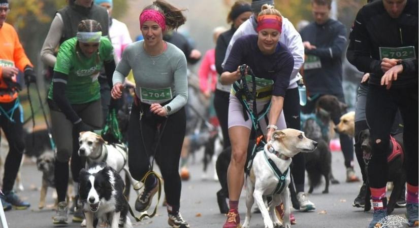 Futók lépteitől voltak hangosak a Tanúhegyek