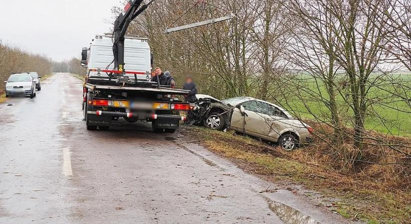 Hatalmas baleset: több fának is nekicsapódott, majd az árokba fúródott az autó – képgalériával
