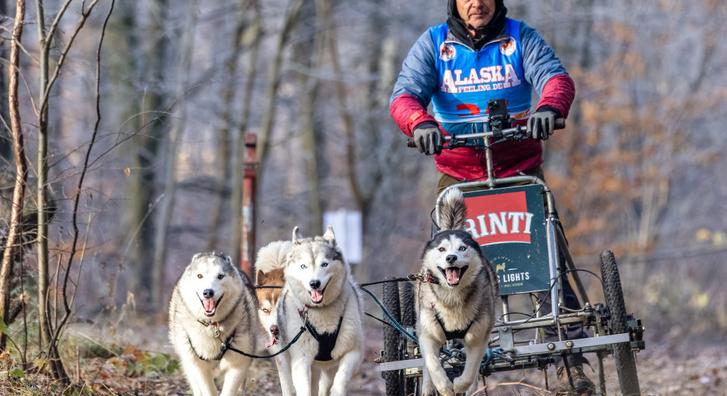 Hó nélkül indult a nemzetközi szánhúzó kutyaverseny első fordulója