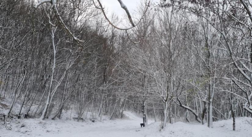 Lesz újabb havazás? Mutatjuk, mit mond az időjárás-előrejelzés