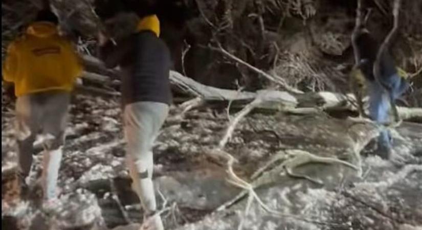 Videón, ahogy a havas éjszakában megtisztítják az utat a balatonfűzfői vízilabdázók