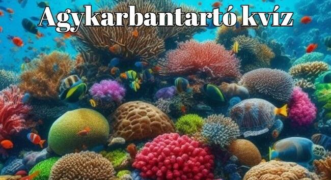 Frissen facsart kvíz - Száz emberből ötven tud legalább 6 pontot elérni ezzel a kvízzel