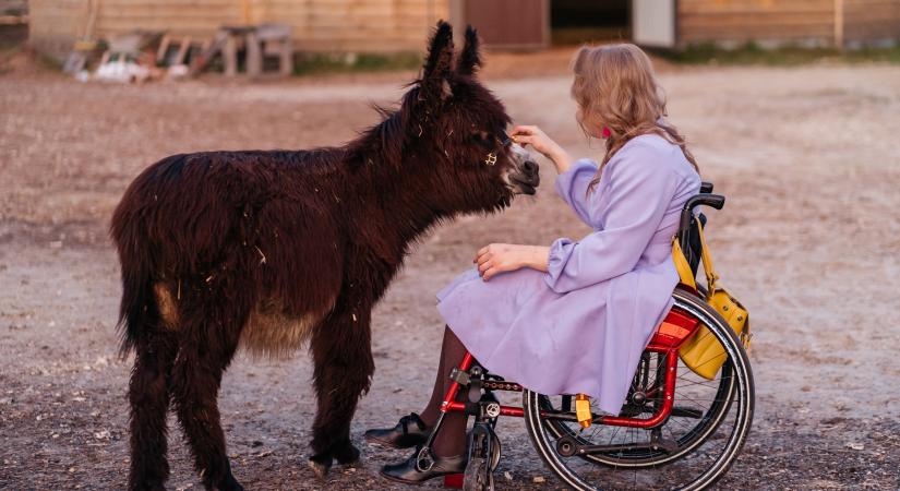 Állatok és terápiák – Segítenek, felvidítanak, megnyugtatnak