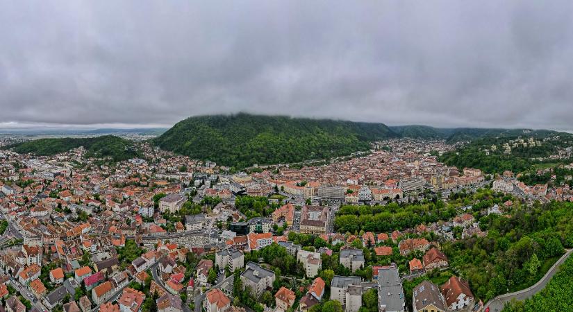Tervezet: Börtönbüntetés a belterületeken levő fák törvénytelen kivágásáért