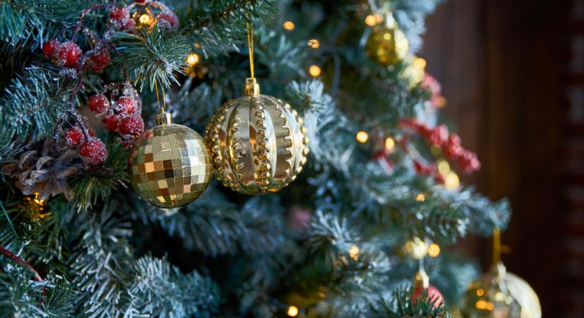 Hétfőn érkezik a 23 méteres karácsonyfa az Országház elé