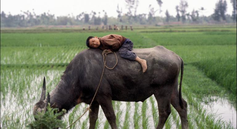 Vietnám: kommunista sereghajtóból regionális középhatalom