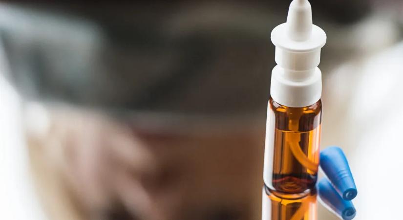 Orrcseppel bejuttatható terápia tüntette el a legagresszívabb agydaganatot egereknél