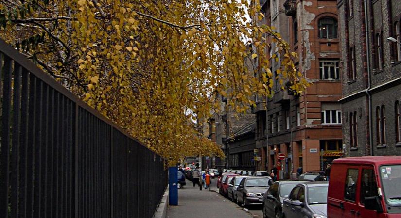 Folytatódik a bulinegyed-konfliktus a zsidó szervezetek és a VII. kerület között