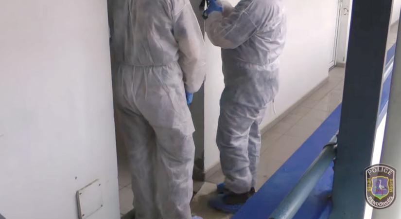 Gyilkosság Abonyban: veje végezhetett az idős asszonnyal