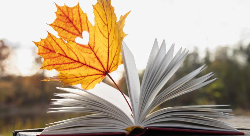 Napi horoszkóp 2025. november 24.: szuper fényszögek segítenek minket