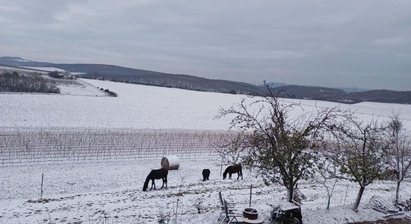 Olvasóink látványos, csodás fotóin mutatjuk meg a hétvégi havazást ( galéria)