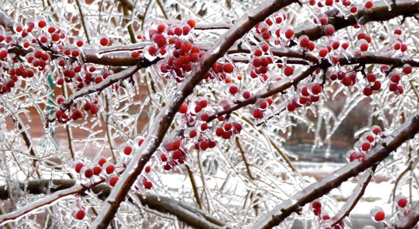 Ónos eső van kilátásban? Így alakul a hétfői időjárás Hevesben