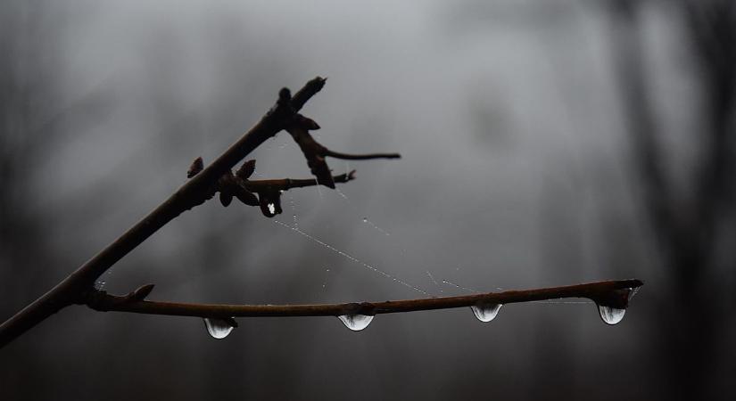 Esővel, északon eleinte hóval érkezik a melegfront