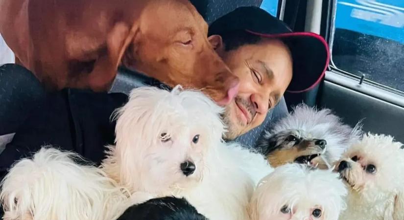 Célba vették a népszerű kutyamentőt: durva vádak után ezt üzenték neki