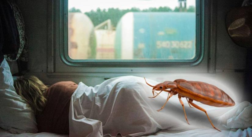 Hálókocsis vonatozás 2025-ben: kórházba juttattak egy nőt a poloskacsípések – hírek vasárnap