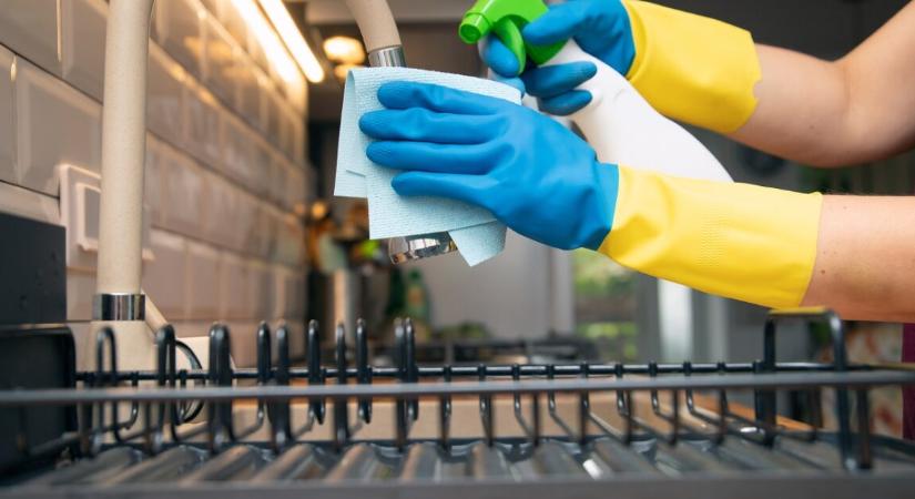 Csótányok és káosz – a nő takarítási díjat fontolgat a testvérével szemben