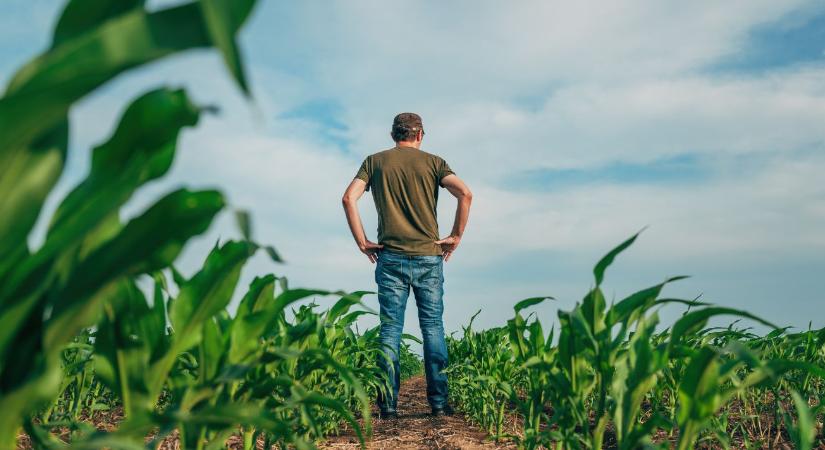 A jövő kérdése: ki fogja megtermelni az élelmiszert?