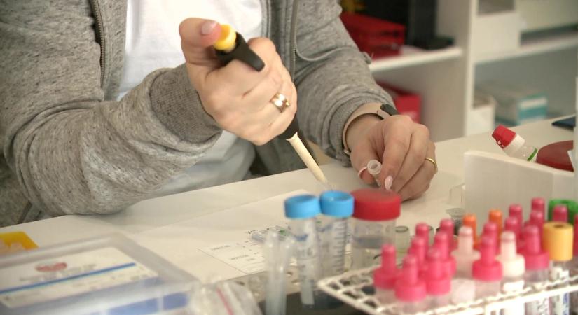 Hepatitis-A: 4 halott, hétszer annyi fertőzött