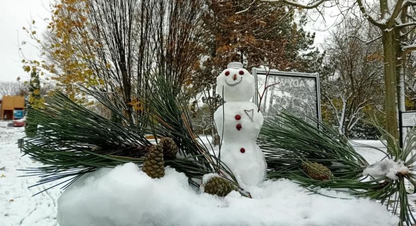 Olvasónk megtalálta Győr legaranyosabb hóemberét - fotók