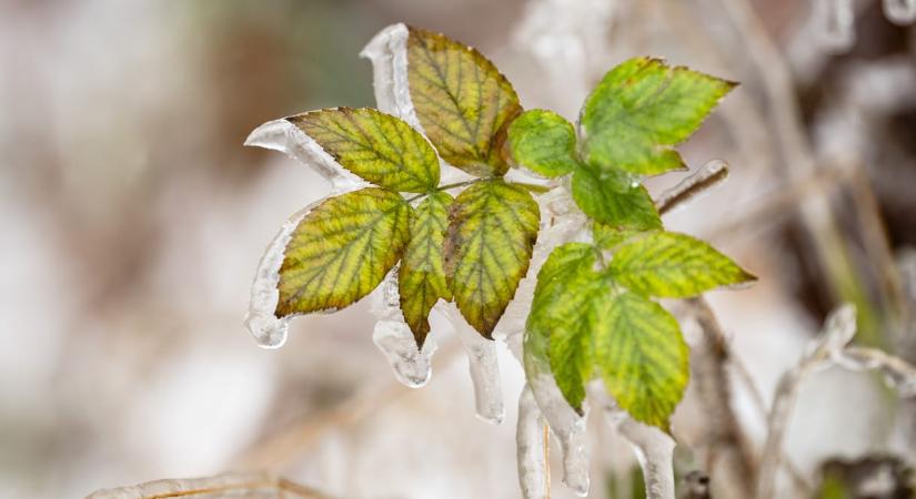A hét egyik fele a csapadékról, a másik a hidegről szól majd