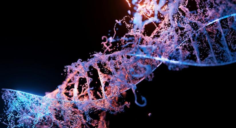 Jelentősen növeli az ADHD kockázatát, ha valaki ilyen genetikai variánsokkal rendelkezik