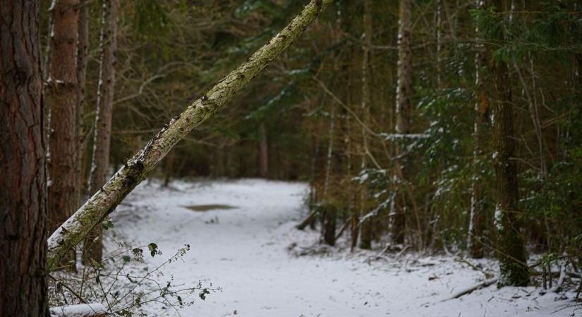 Hóra fel - tippek a téli kiránduláshoz
