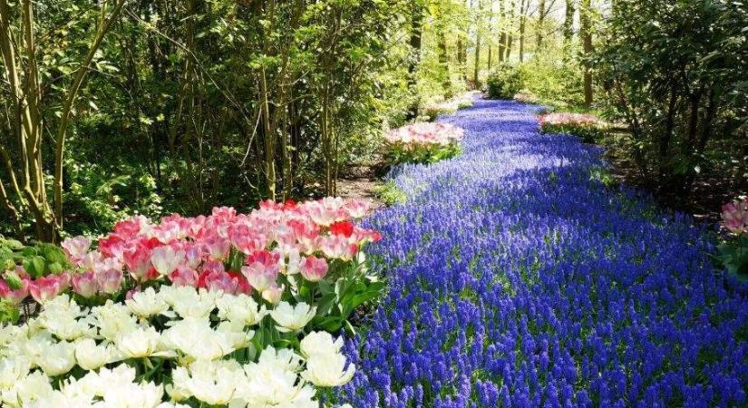 Visit Hungary: csaknem 80 elismerést adtak át a Virágos Magyarország díjátadóján