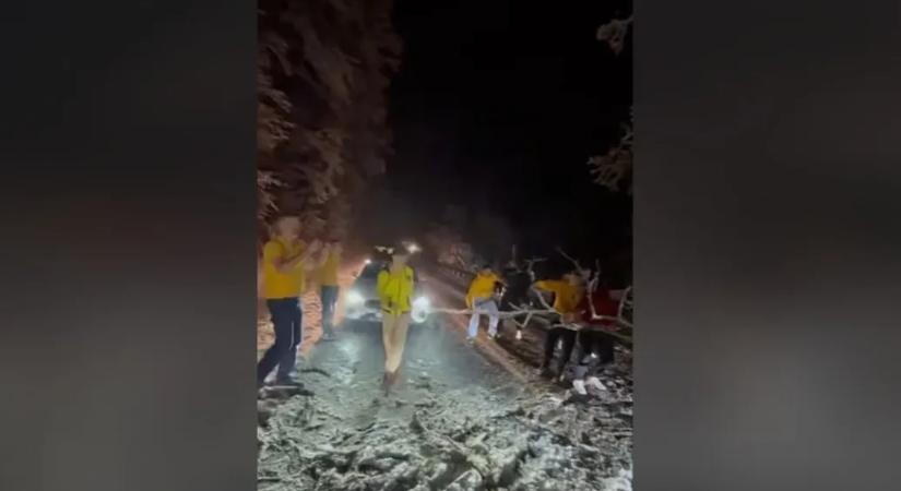 Balatoni vízilabdacsapat emelt le egy hatalmas fát az útról a dunántúli hóviharban