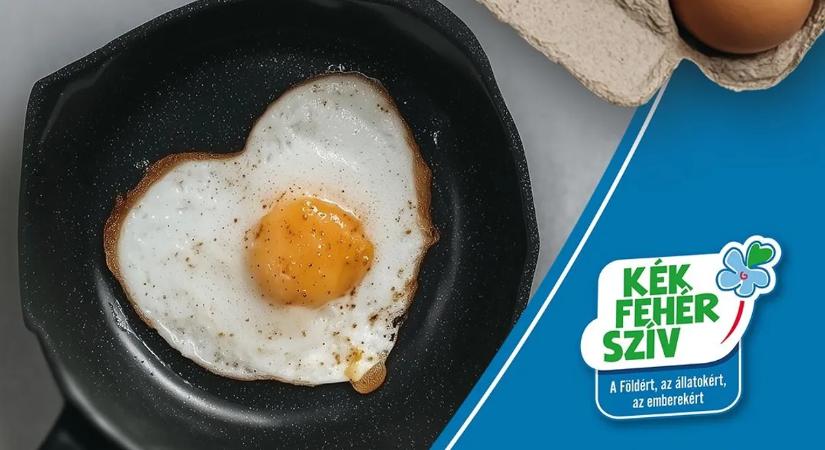 A Kék-Fehér-Szív a tudatos táplálkozás erejével formálja a jövőt