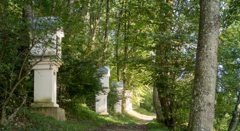 Itt találhatók Mária kegyhelyek Magyarországon: remek kirándulóhelyek, látnivalók is akadnak a környéken