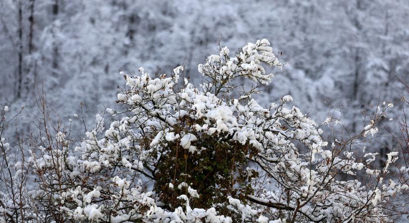 Megint jön a havazás, és sokfelé veszélyes jelenség kíséri – mutatjuk, hogy hol