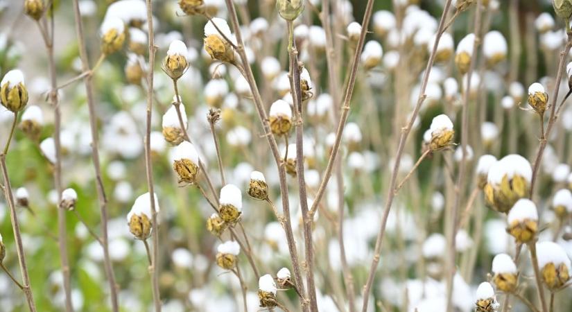Folytatódik a havazás hétfőn?