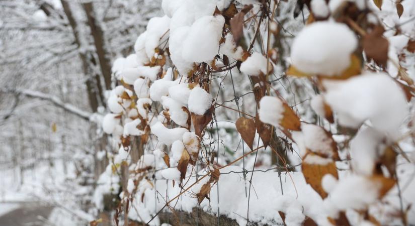 Változékony időjárás jön ma, elmúlik a "téli álom" – helyette ónos esőt kaphatunk a nyakunkba