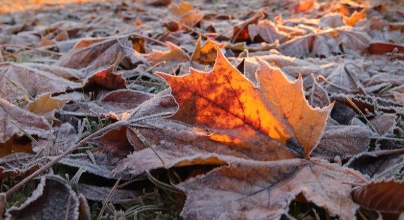 Erre senki sem számít hideg után érkezik a fordulat Csongrád-Csanádban