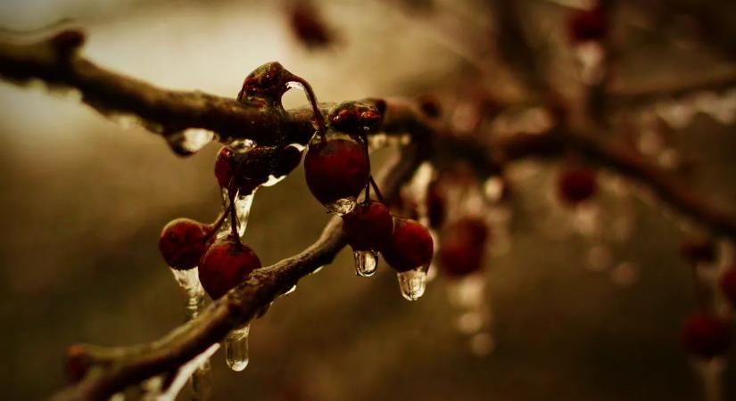 Hozzá kell szoknunk a hideghez: Ilyen lesz az időjárás a hét elején