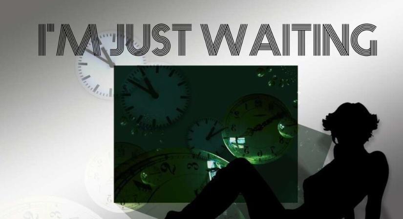 5 csillagjegy döntéskényszerben – Határidő: december 31.